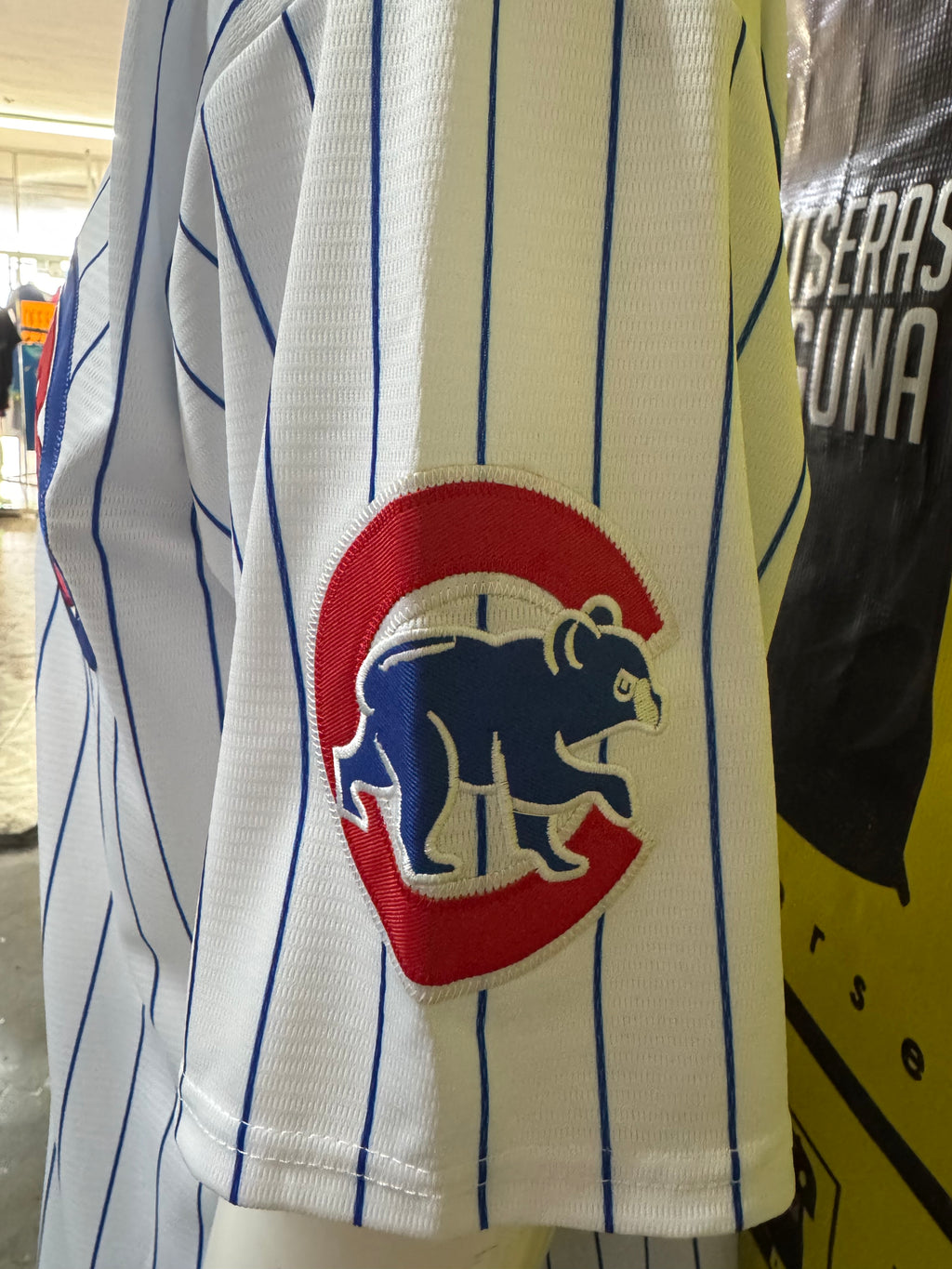 Jersey cubs