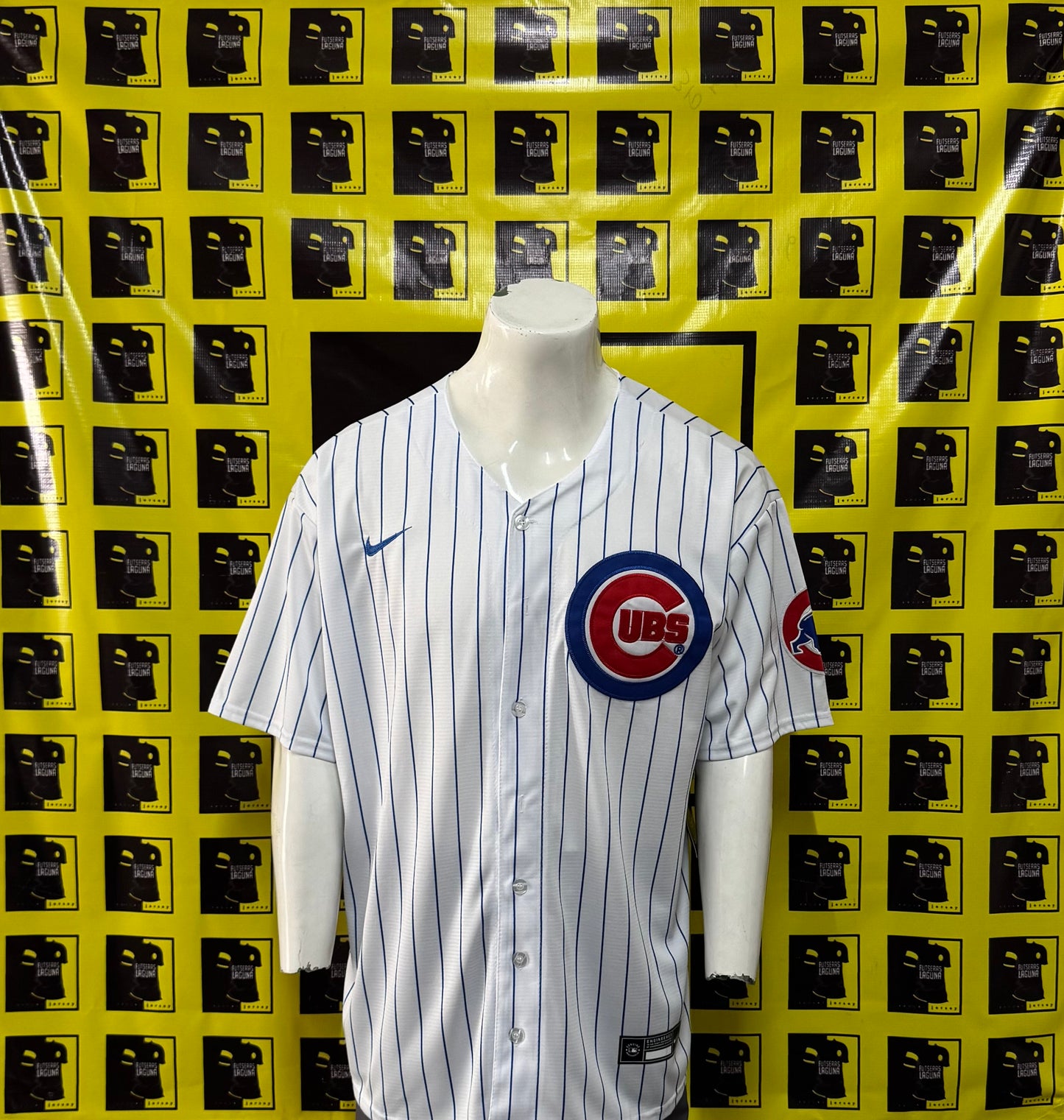 Jersey cubs